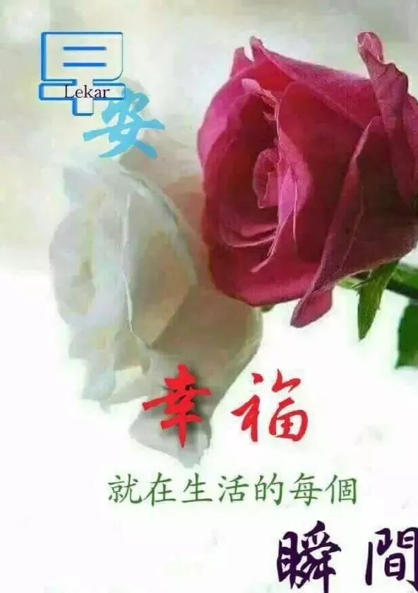 2019最新版漂亮早上好图片微信带花 最美早上好祝福图片浪漫带字-早上好花的图片带字图片动态