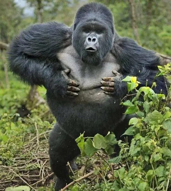 《2020年全国沙雕脑筋急转弯测试卷》