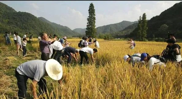 全战三国被中国玩家玩坏了 老外：种田也能得天下-游戏攻略礼包下载 安卓苹果手游排行榜 好游戏尽在春天手游网