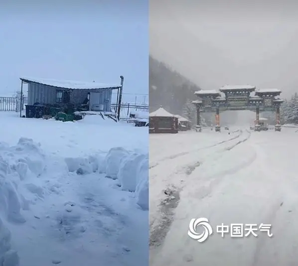 昨天早晨，河北塞罕坝林场出现降雪，地上积雪明显。（图片来源于当地网友）