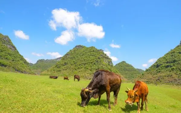 广西版的香格里拉，一年四季景色各异-广西最后的香格里拉