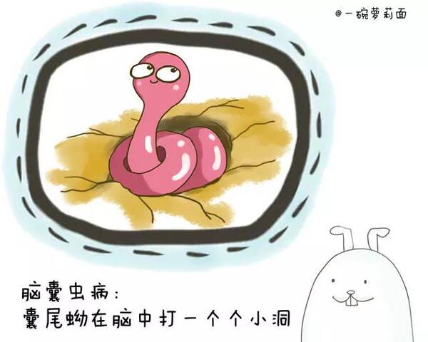 脑囊虫病实际长啥样?做好心理准备