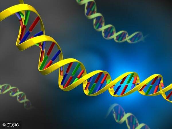 胶原蛋白肽是什么?长期喝胶原蛋白有危害?孕