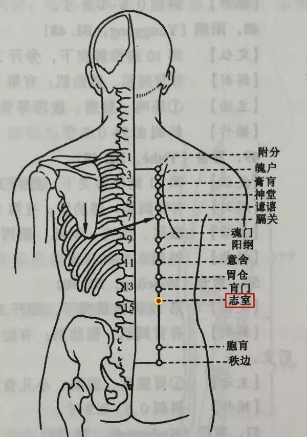 腰腿疼的朋友,来试试艾灸治疗方法
