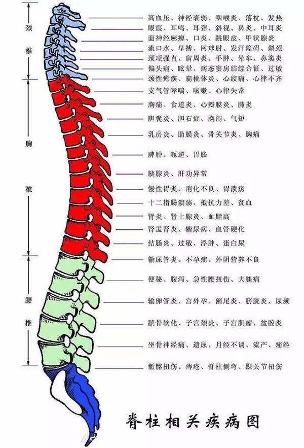 骨折保險公司賠償多少 胸椎骨折保險公司怎麼賠付