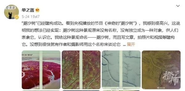 太震撼！钱塘江边闪现“参天大树”，网友感叹：第一次看到这么壮观的景象（杭州钱塘江吃鱼好去处）