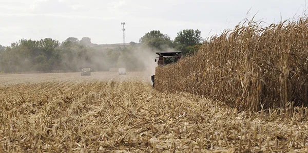 107գ÷Уһũոﲿ IC photo