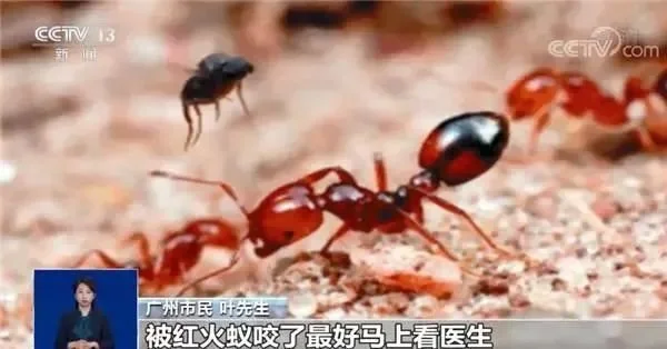 警惕！可致命！江西一地已出现-紧急寻人江西新冠接触者