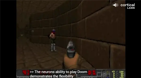 20万个活体人类神经元在电脑芯片上激活!竟然能自己玩《毁灭战士》游戏
