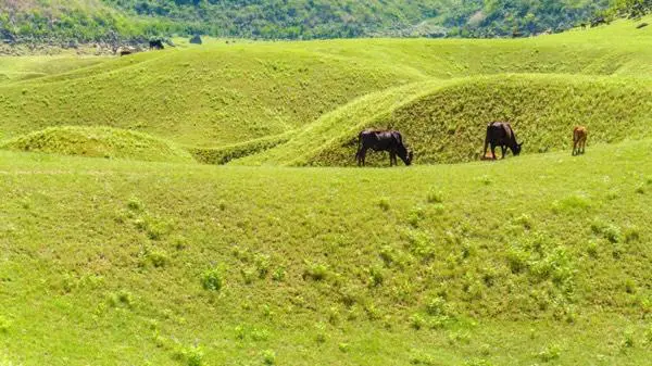 广西版的香格里拉，一年四季景色各异-广西最后的香格里拉