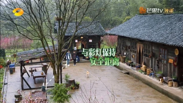 火星人联手《向往的生活5》打造诗意生活(火星人主题)