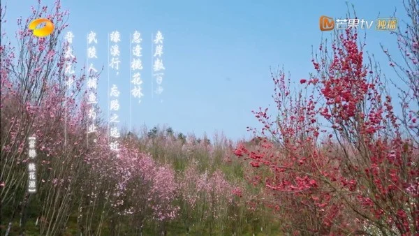 火星人联手《向往的生活5》打造诗意生活(火星人主题)