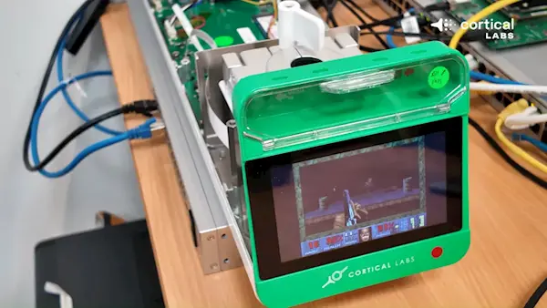 20万个活体人类神经元在电脑芯片上激活!竟然能自己玩《毁灭战士》游戏