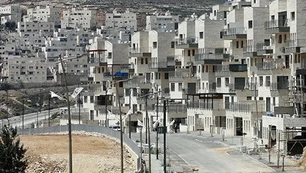 ����ɫ�н�������̫�˶��ӵ�