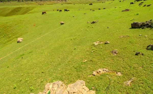 广西版的香格里拉，一年四季景色各异-广西最后的香格里拉