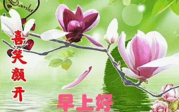 满满干货（恶搞妈妈怀孕图片带字大全）恶搞妈妈24小时怀孕图片大全 第3张