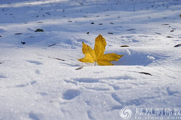 图片来源：凤凰网佛教文化 摄影：闫秀勇