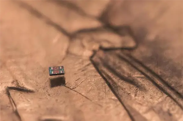 全球最小全自主可编程机器人诞生：接近细菌尺度 成本仅1美分