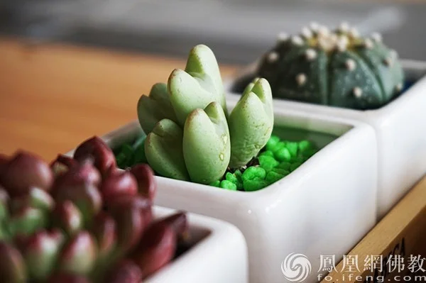 图片来源：凤凰网佛教文化 摄影：闫秀勇