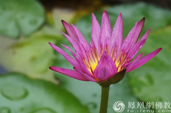 图片来源：凤凰网佛教文化 摄影：闫秀勇