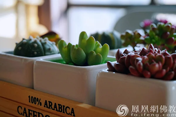 图片来源：凤凰网佛教文化 摄影：闫秀勇