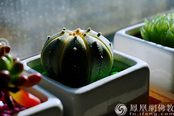 图片来源：凤凰网佛教文化 摄影：闫秀勇