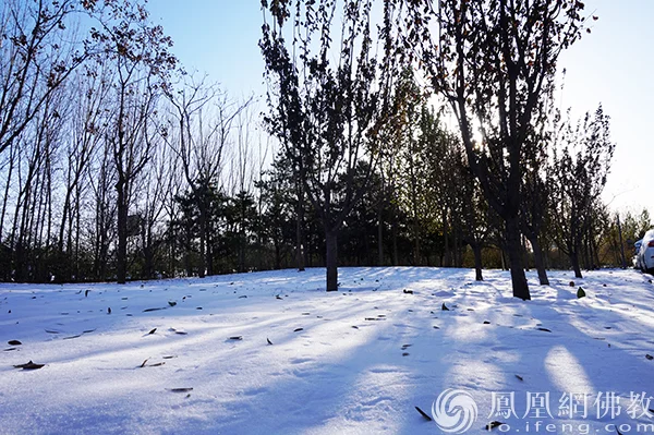 图片来源：凤凰网佛教文化 摄影：闫秀勇
