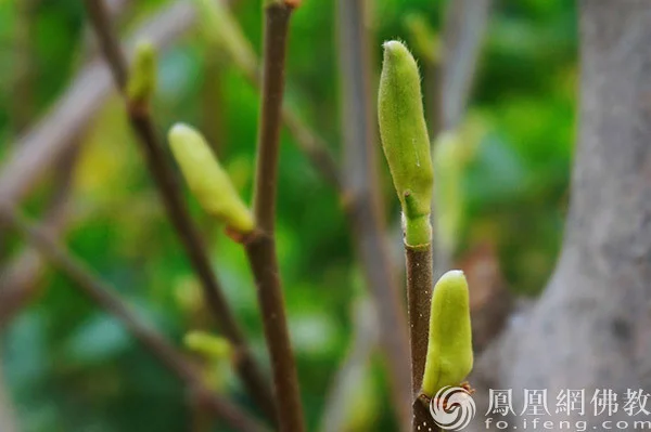 一日禅:凡事都有缘起缘灭凤凰网佛教文化2026年03月06日09:13:44来自北京11人参与6评论图片来源 图片来源:凤凰网佛教文化 摄影:闫秀勇