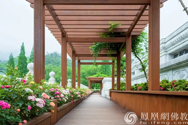 图片来源：凤凰网佛教文化 摄影：十愿