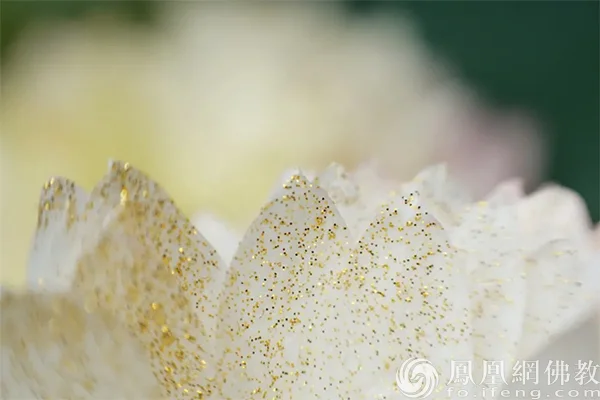 图片来源：凤凰网佛教文化 摄影：孟和德力根