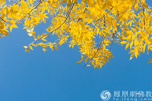 图片来源：凤凰网佛教文化 摄影：闫秀勇