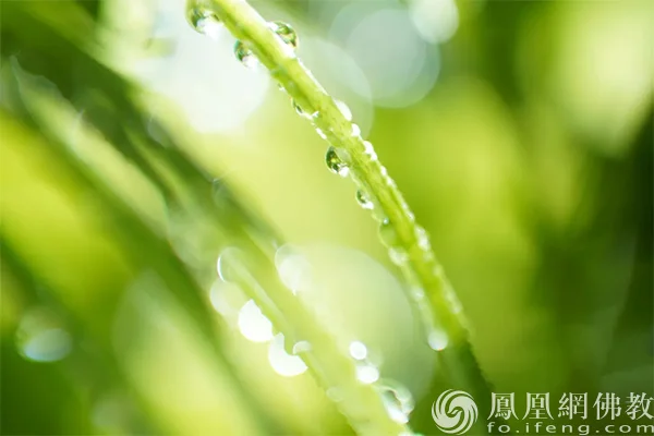 图片来源：凤凰网佛教文化 摄影：孟和德力根