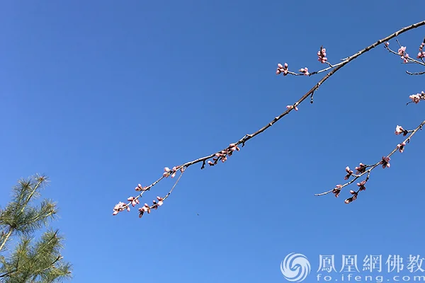 图片来源：凤凰网佛教文化 摄影：闫秀勇