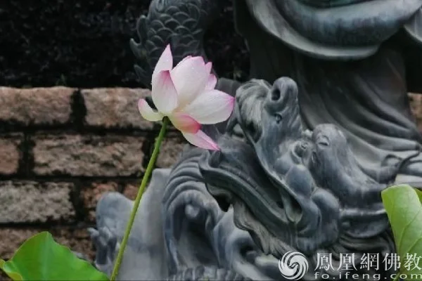 图片来源：凤凰网佛教文化 摄影：耀宏