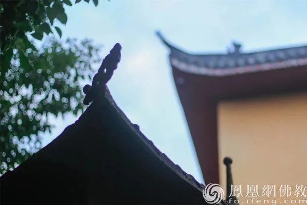 图片来源：凤凰网佛教文化 摄影：寂弘法师