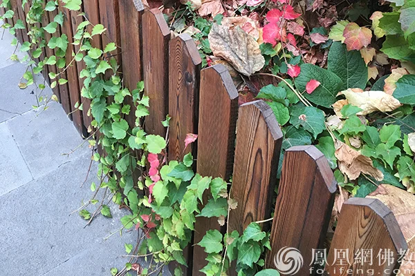 图片来源：凤凰网佛教文化 摄影：闫秀勇