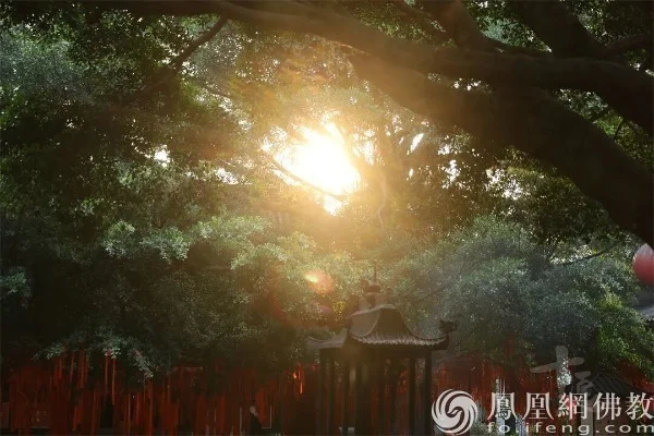 图片来源：凤凰网佛教文化 摄影：续果