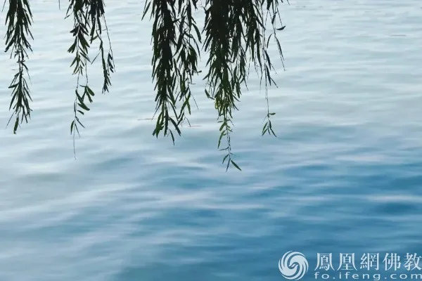 图片来源：凤凰网佛教文化 摄影：十愿