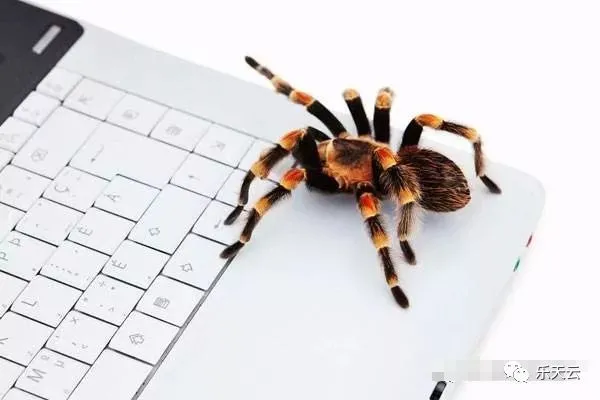SEO优化快速吸引百度蜘蛛爬行网站的10个技巧