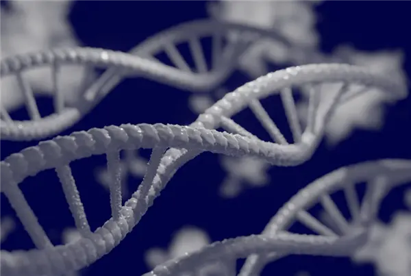 全国首个DNA存储领域预训练大模型 ChatDNA发布
