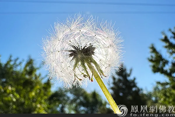 图片来源：凤凰网佛教文化 摄影：程振敏
