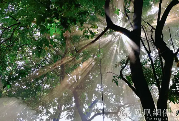 图片来源：凤凰网佛教文化 摄影：十愿