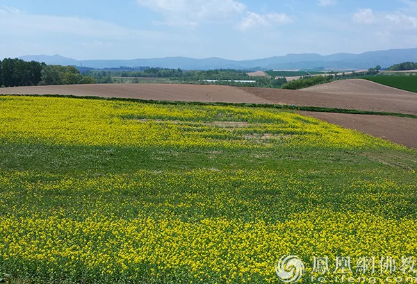 图片来源：凤凰网佛教文化 摄影：闫秀勇