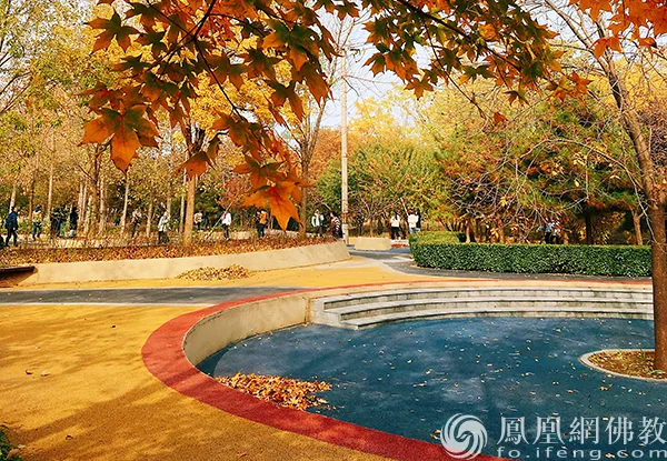 图片来源：凤凰网佛教文化 摄影：闫秀勇