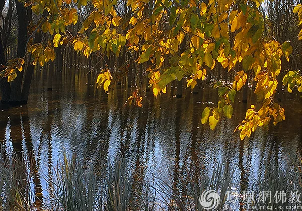 图片来源：凤凰网佛教文化 摄影：闫秀勇