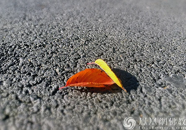 图片来源：凤凰网佛教文化 摄影：闫秀勇