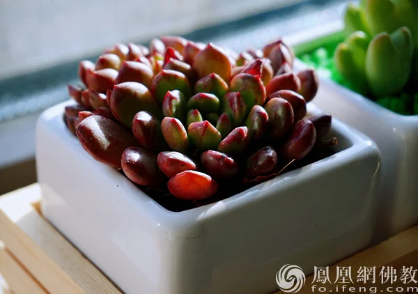 图片来源：凤凰网佛教文化 摄影：闫秀勇