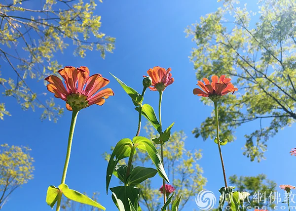 图片来源：凤凰网佛教文化 摄影：闫秀勇