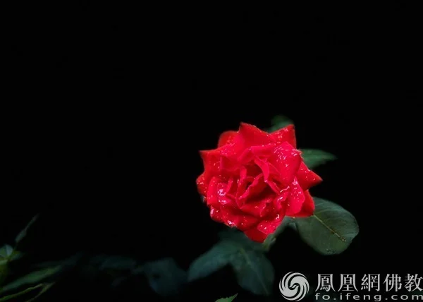 图片来源：凤凰网佛教文化 摄影：程振敏