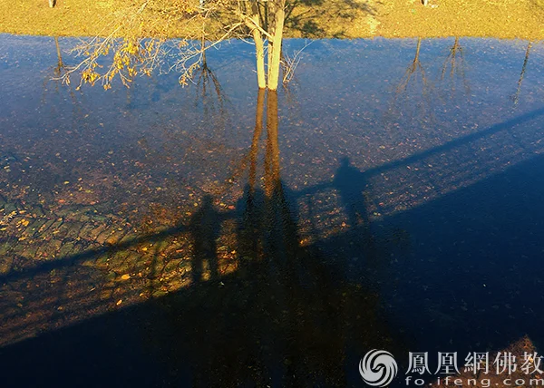图片来源：凤凰网佛教文化 摄影：闫秀勇